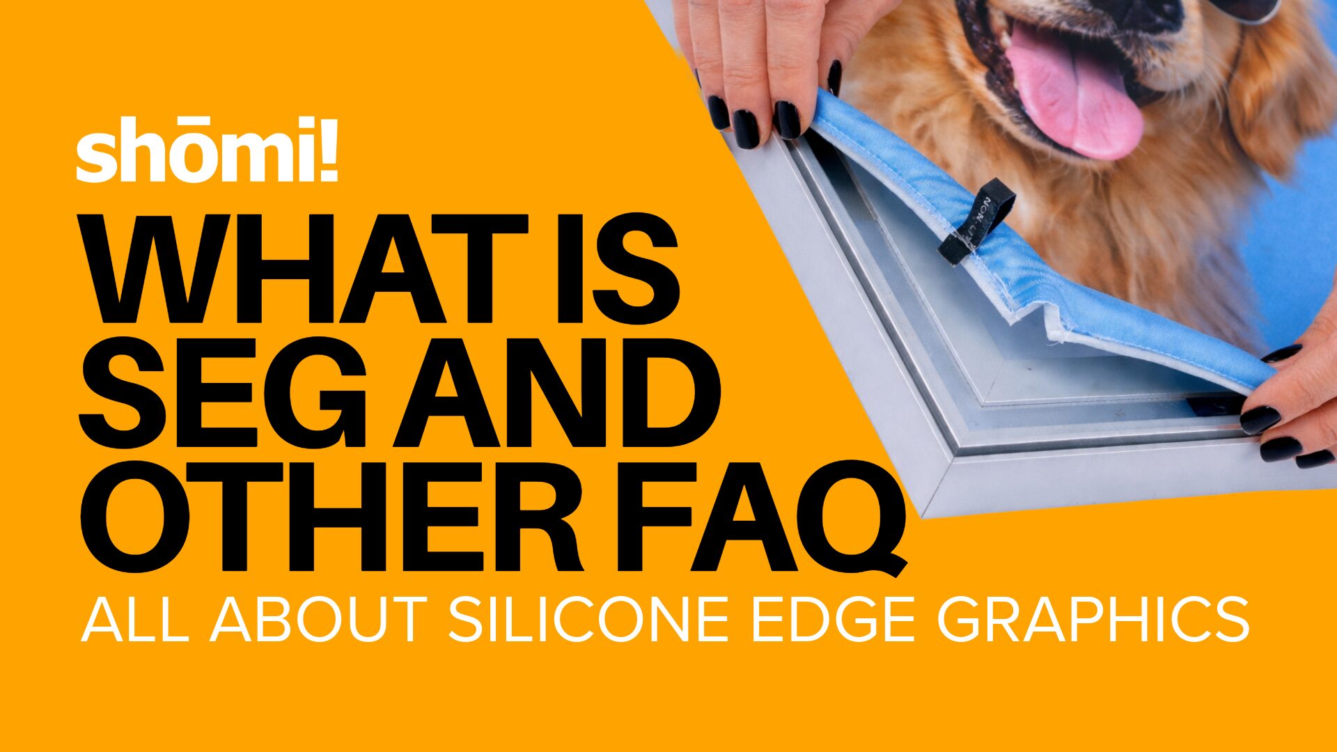 An orange graphic with black and white text reads, “What is SEG and other FAQ. All about silicone edge graphics.” A hand pulls fabric with a silicone edge from a frame, showing how seg tension fabric displays work; a dog’s face is in the background.